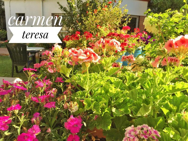 Hotel Carmen Teresa Торемолинос Екстериор снимка